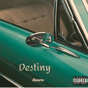 Destiny (Explicit)