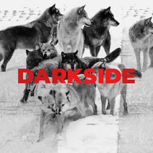 Darkside (feat. R2ss & Tonton Kasper) (Explicit)