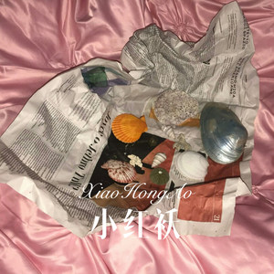 阿妹的酒 (Remix)