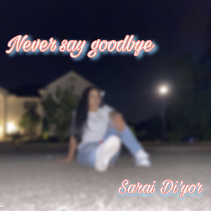 Never Say Goodbye