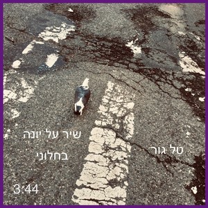 שיר על יונה בחלוני