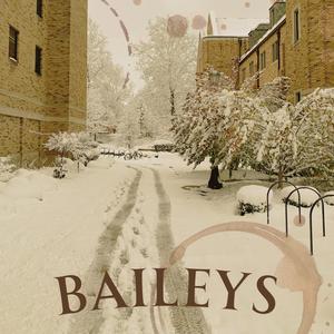 Baileys (Jerusalem Voice Memo)