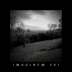 Imaginem Sui