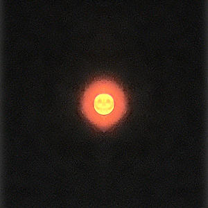 Mentality (feat. Zaaay The Sin) (Explicit)