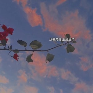 光亮-尚好