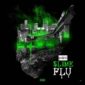 Slime Flu Freestyle (Explicit)