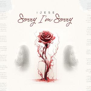 Sorry, I’m Sorry