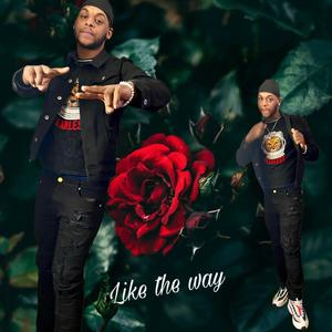 Like The Way (Explicit)
