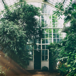 Goose 我鸟 - 最后的旋转木马 (Live)