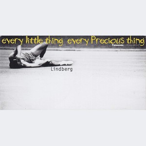 every little thing every precious thing