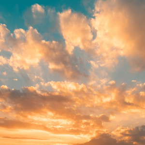 王尧. - 清澈的爱只为中国