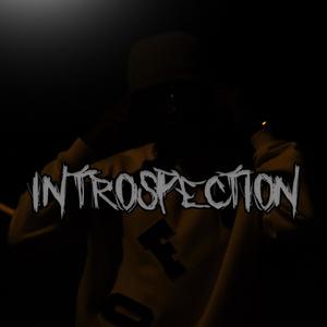 Introspection (Explicit)