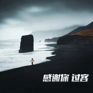 感谢你 过客