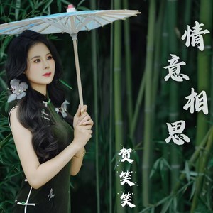 情意相思--伴奏 (伴奏)