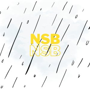 Nsb