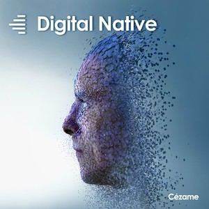 Digital Native(Music for Movies)