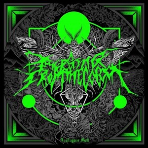 Emerging from the Cocoon