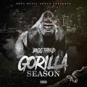 Gorilla Season (Explicit)