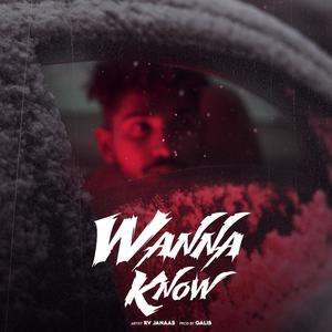Wanna Know