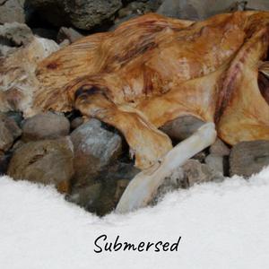 Submersed