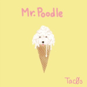 Mr. Poodle