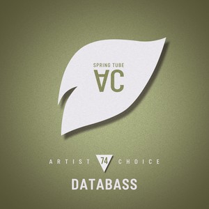 Artist Choice 074: Databass