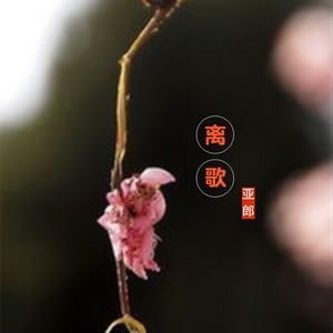 离歌