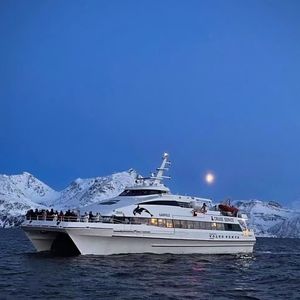 走南闯北遇见你