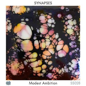 Synapses