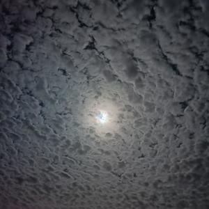 Jueces Sin Juicio (Homemade Version)