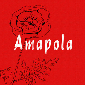 Amapola