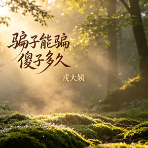 骗子能骗傻子多久