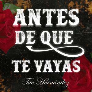 Antes De Que Te Vayas