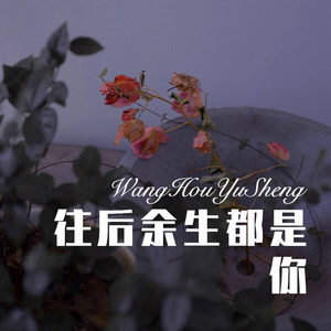 老许 - 哈雷 (Remix)