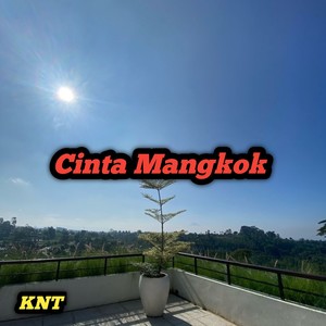 Cinta Mangkok