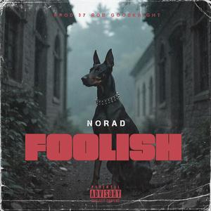 Foolish (Explicit)