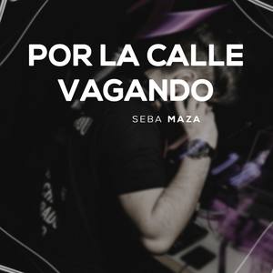 Por la Calle Vagando