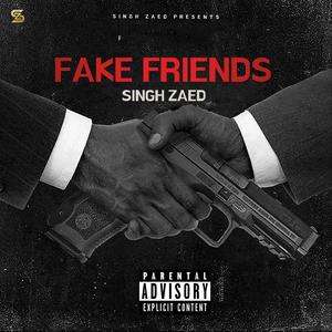 Fake Friends (Explicit)