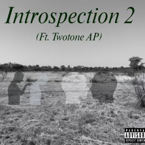 Introspection 2 (feat. TwoTone AP) [Explicit]