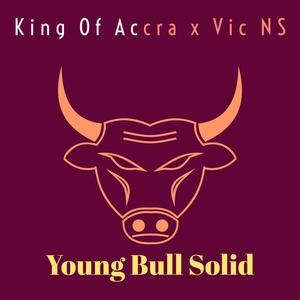 Young Bull Solid (feat. Vic NS) [Explicit]