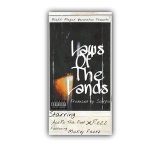 Laws Of the Land(feat. Mickey Factz & Rezz) (Explicit)