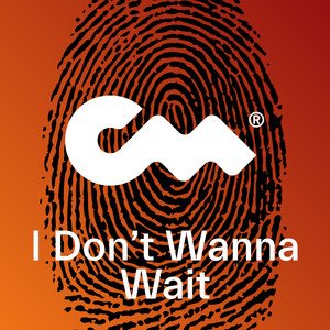 I Don't Wanna Wait