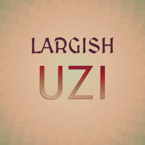 Largish Uzi