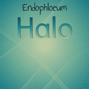 Endophloeum Halo