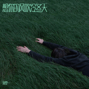 想你的风吹冷冬天