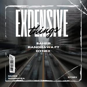 Expensive things (feat. Dynex)