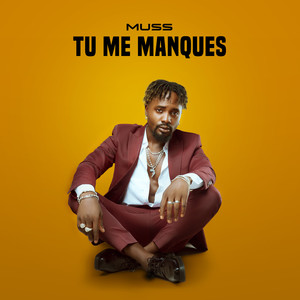 Tu Me Manques