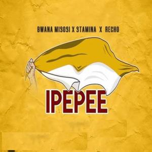 Ipepee (feat. Stamina Shorwebwenzi & Recho kizunguzungu)