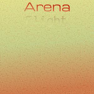 Arena Flight