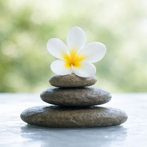 Light After the Noise